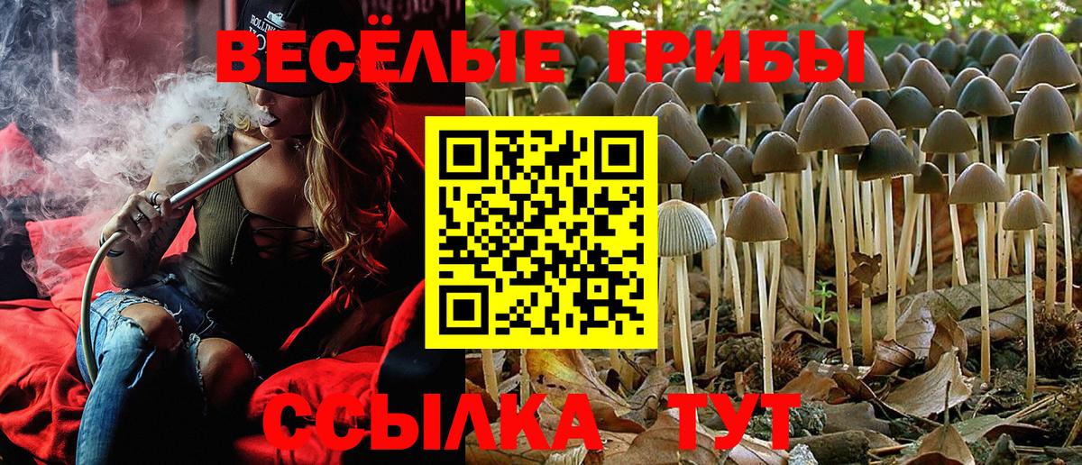 Псилоцибиновые грибы прущие грибы  Псилоцибиновые грибы мухоморы  Вход с VPN  Кирово-Чепецк 