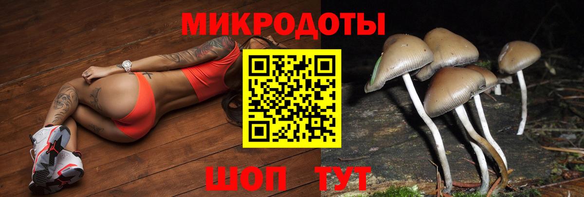 Галлюциногенные грибы Cubensis Кирово-Чепецк